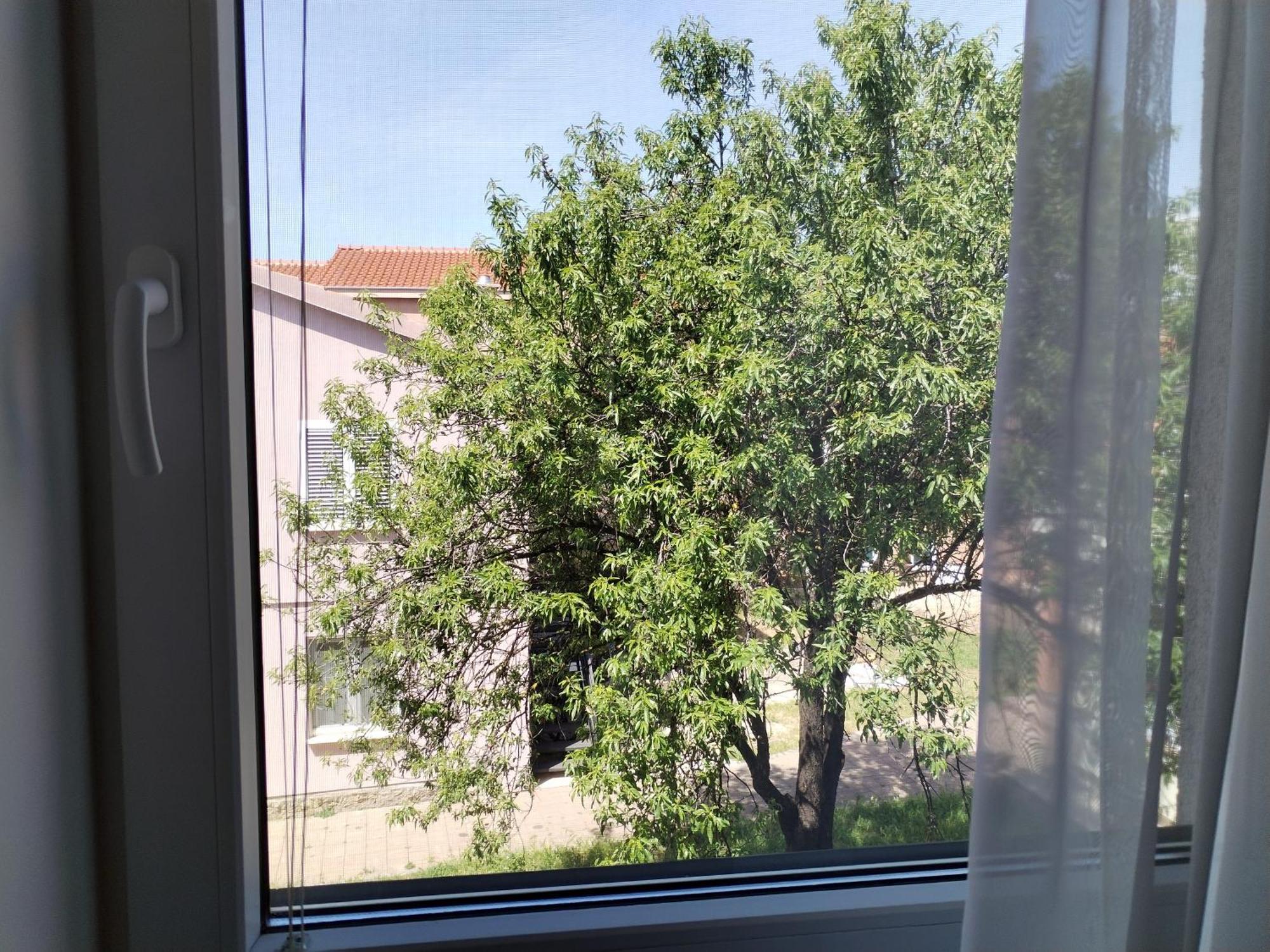 Family Apartment B&B Biograd Na Moru Exterior photo